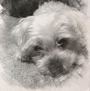 Meet your Posher, Katherine